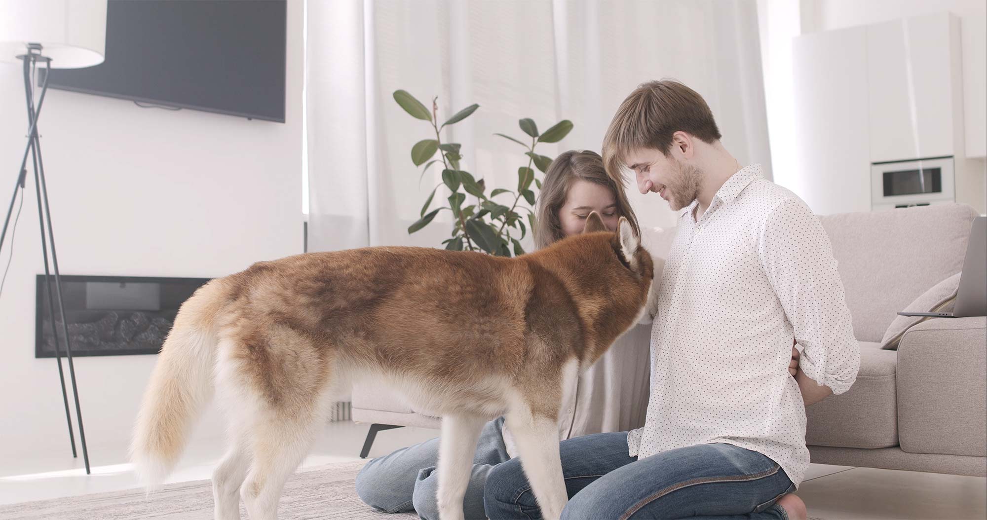 Veterinarian in Port Charlotte, FL | Charlotte Animal Hospital